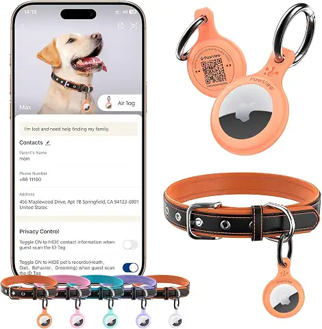 Coleira de Couro PawView com Suporte para AirTag