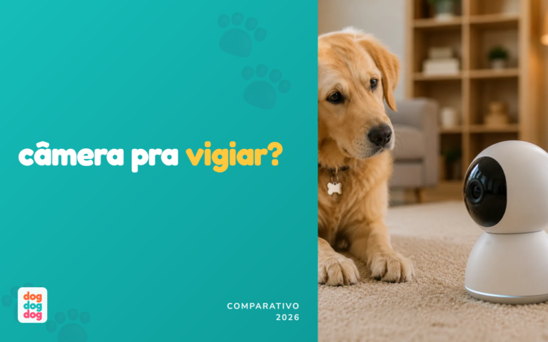 Câmera Para Vigiar Cachorro em Casa: Qual Escolher? [Comparativo 2026]