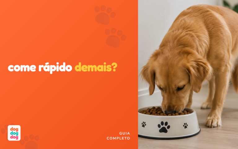 Comedouro Anti-Voracidade: Seu Cachorro Come Rápido Demais? [Guia 2026]