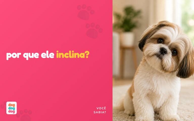 Por Que Cachorro Inclina a Cabeça Quando a Gente Fala? A Ciência Explica