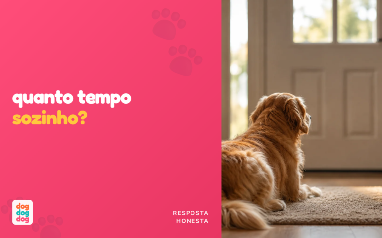Quanto Tempo um Cachorro Pode Ficar Sozinho em Casa? [Resposta Honesta]