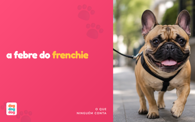 Bulldog Francês: Por Que Virou Febre (e o Que Ninguém Te Conta)